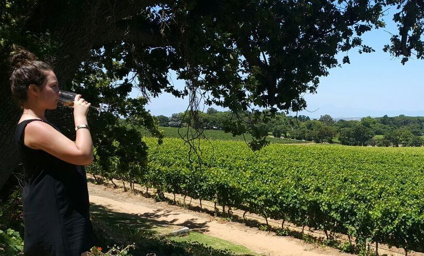 AFRIKA’NIN UZUM BAGLARINDA PIKNIK